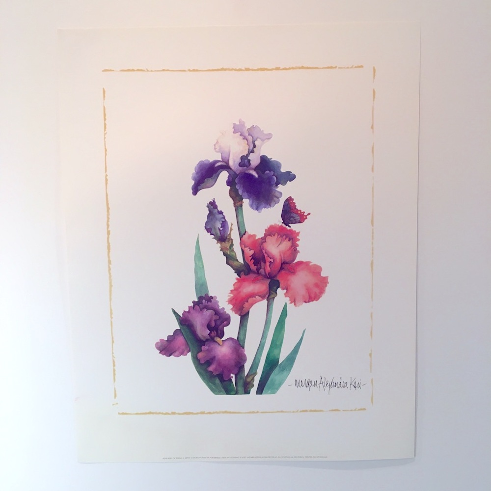 Three Bearded Irises print